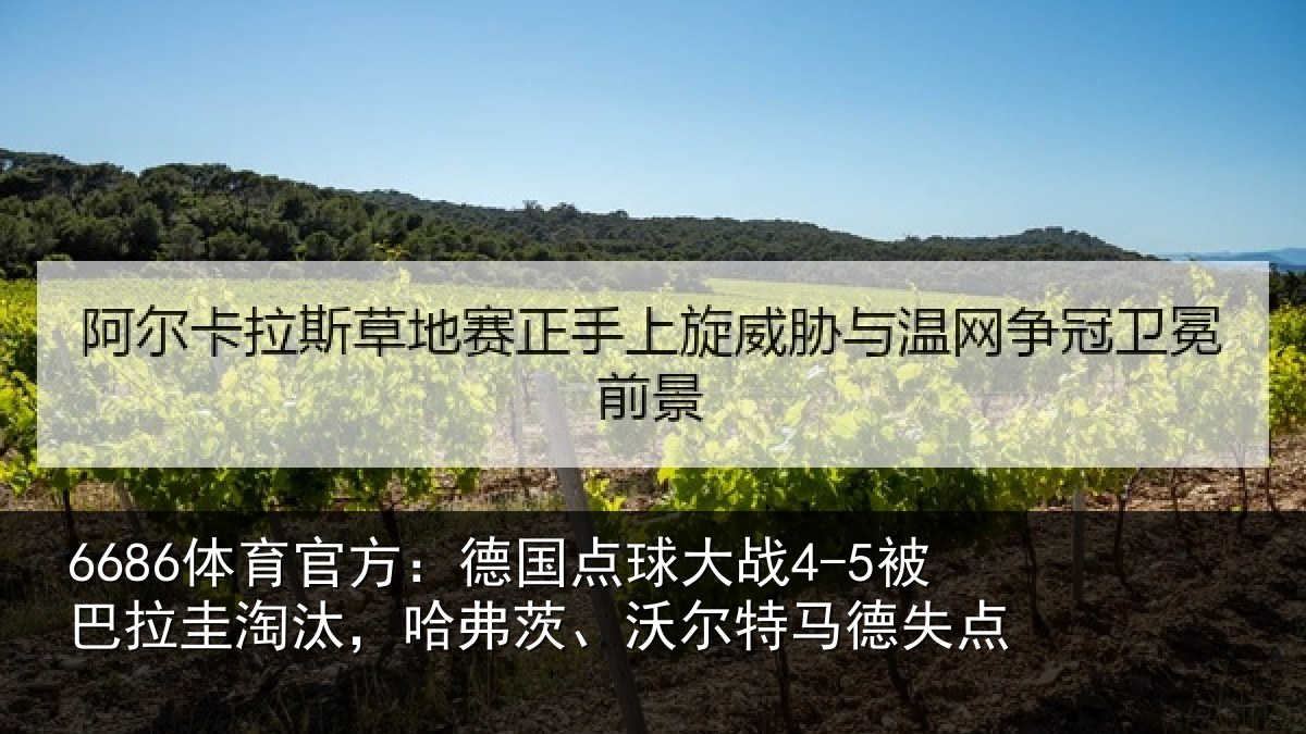 6686体育官方：德国相关情况淘汰相关情况失点